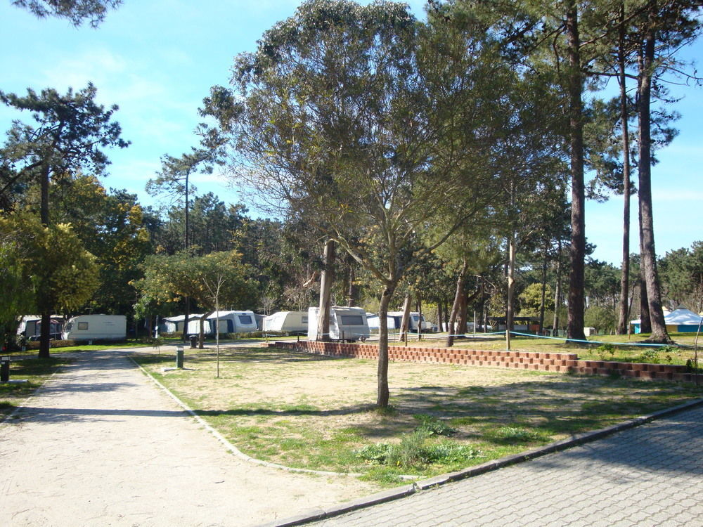 Parque De Campismo Orbitur Caminha Hotel Exterior foto